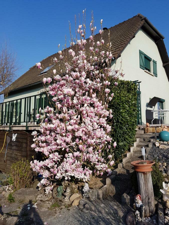 Le Nid Fleuri De Cravanche Exterior foto